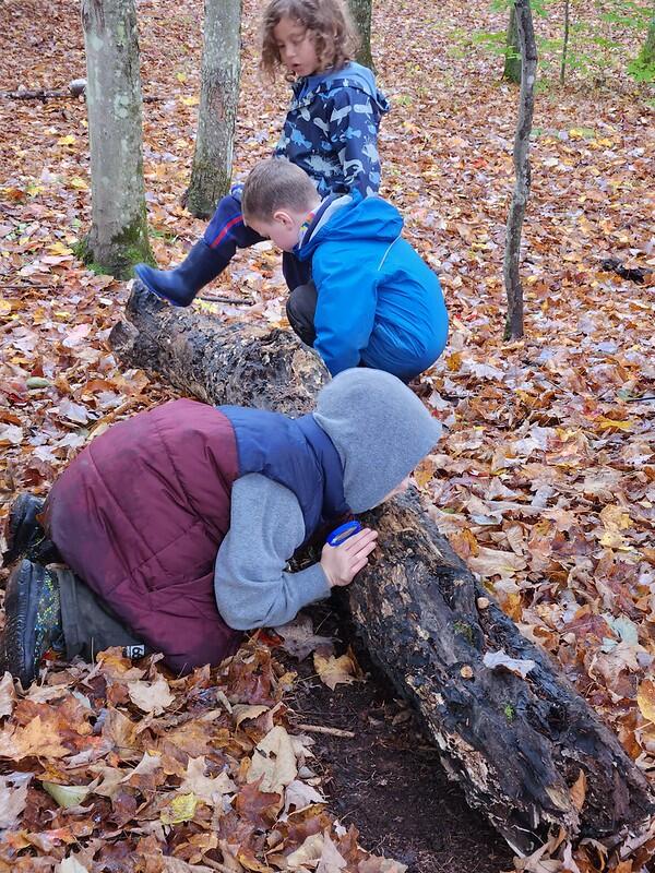 Students rolling over a log