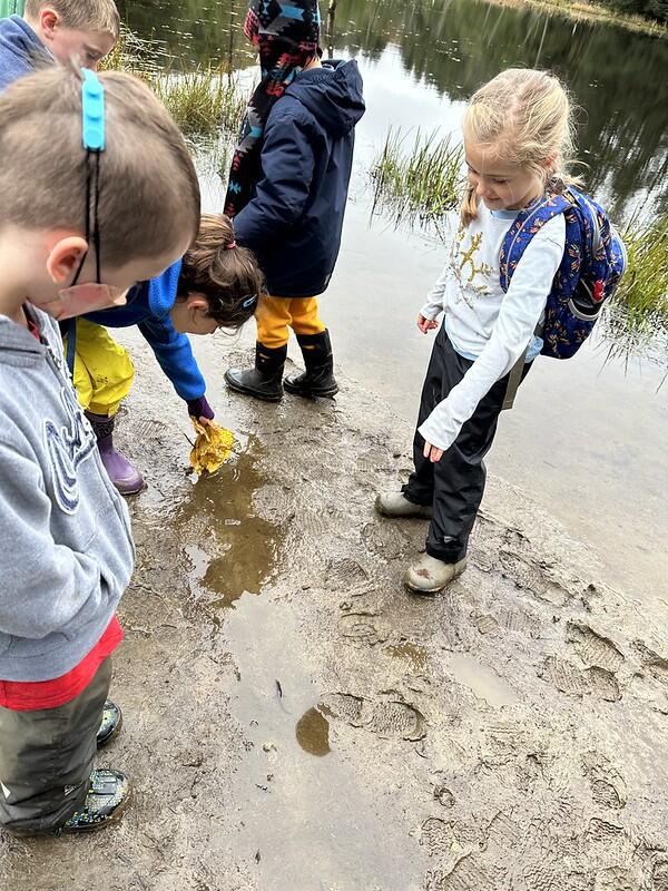 Students watching newts