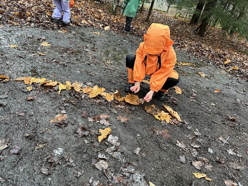 Laying out leaves