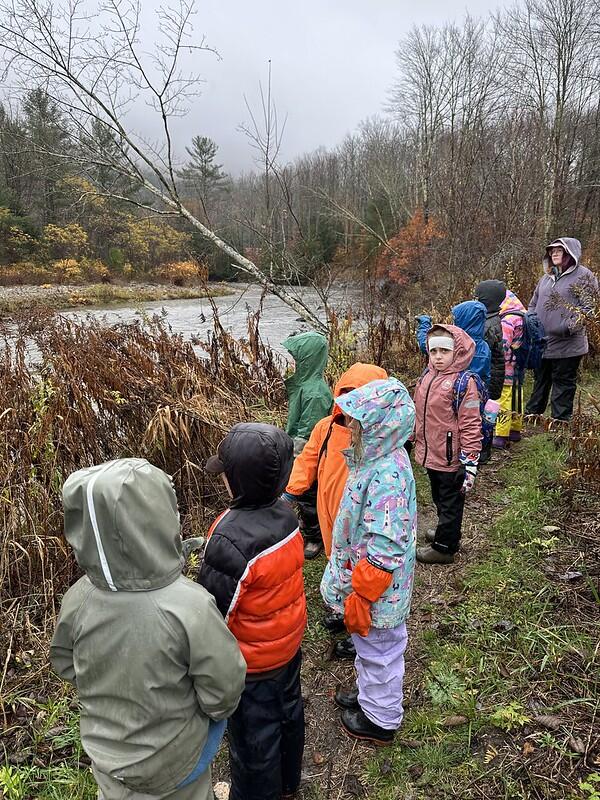 students look at the river