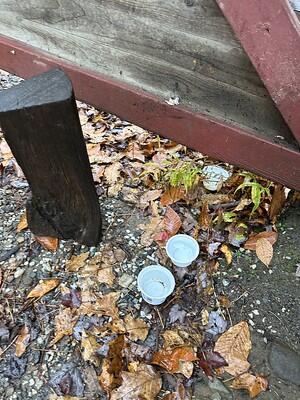 Water cups in the ground Water cups in the ground