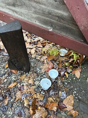 Water cups in the ground