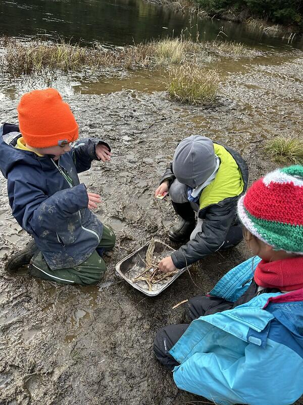 groups working on fires