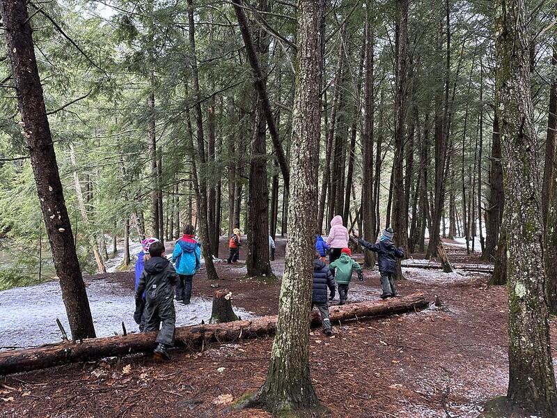 Students in the woods by the River