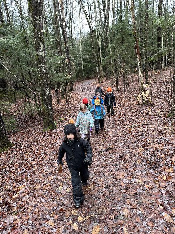 Students hiking in the woods