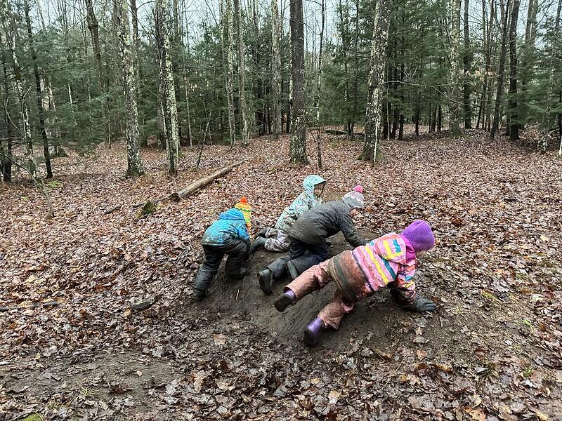 students playing in the woods