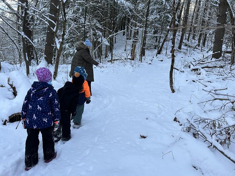 Students looking at woods in winter