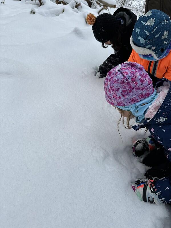 Students looking at snow fleas