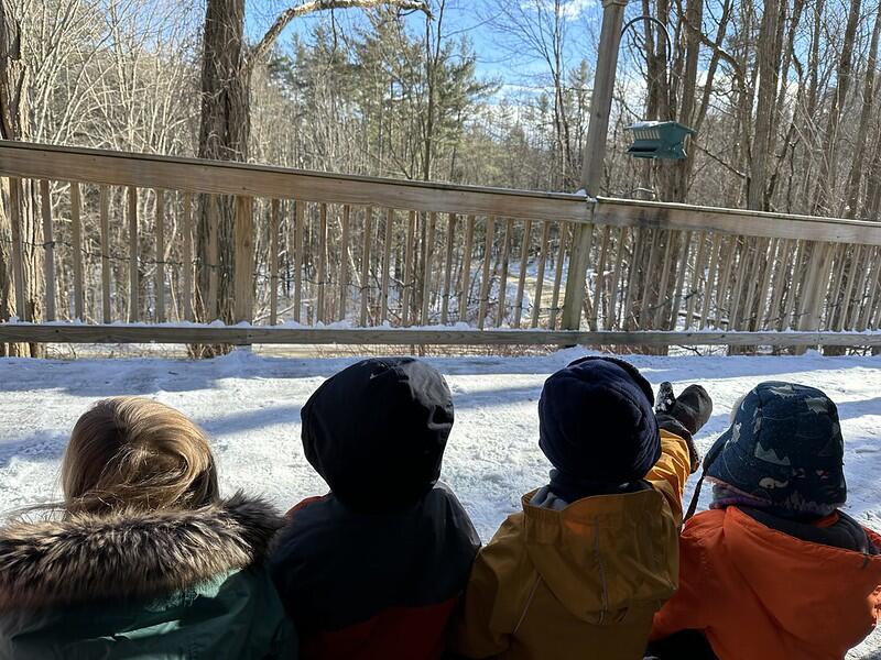 Students looking at bird feeder