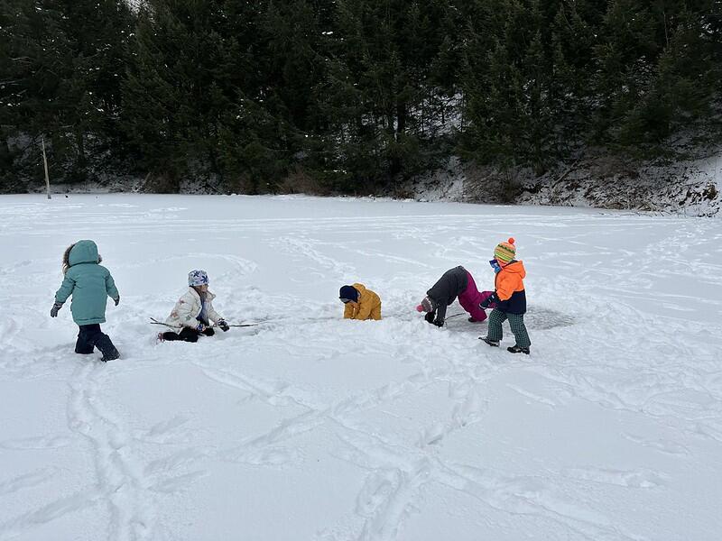 Exploring frozen beaver pond