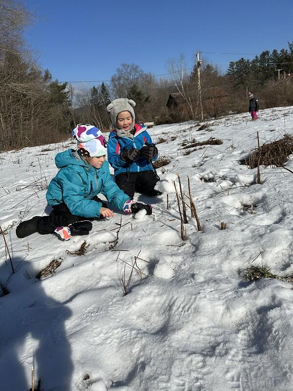 Students sculpting snow