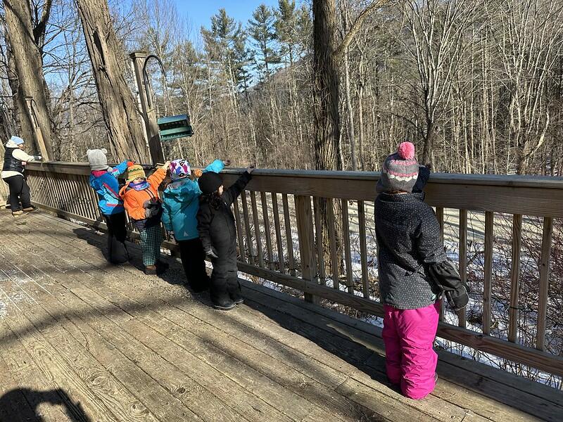 Students trying to handfeed birds