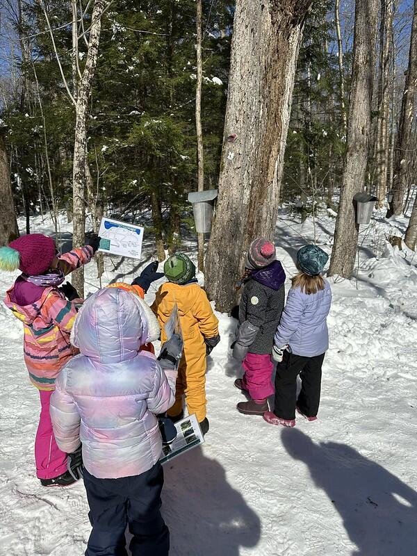 students pointing at a tree