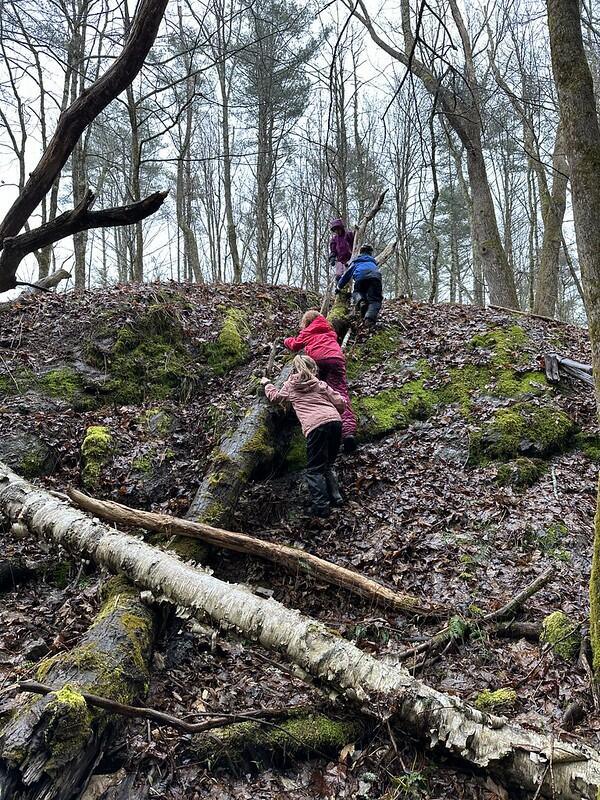 Student climbing in the Forest Student climbing in the Forest