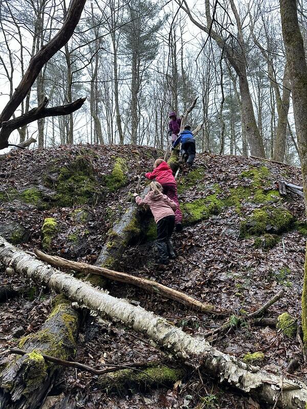 Student climbing in the Forest