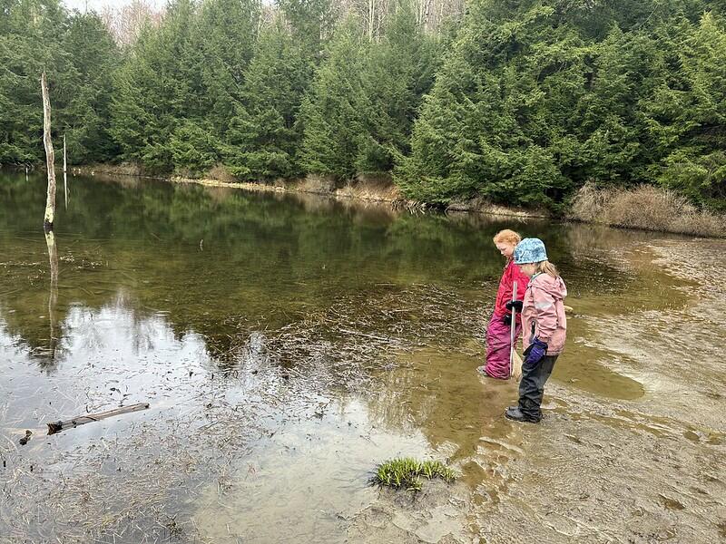 Students looking at the pond