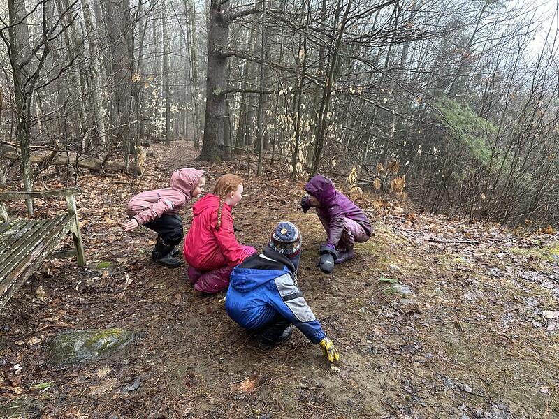 Students doing nature yoga