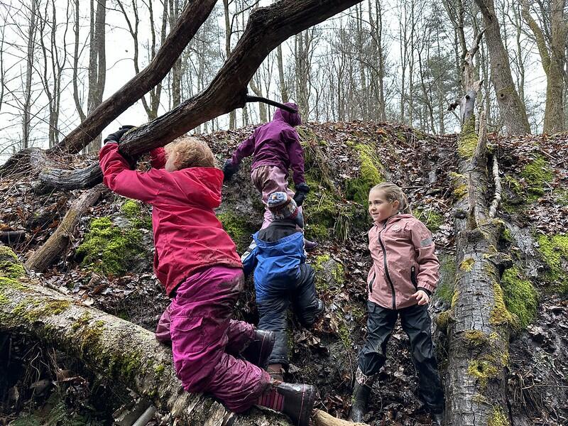Students climbing in the woods Students climbing in the woods
