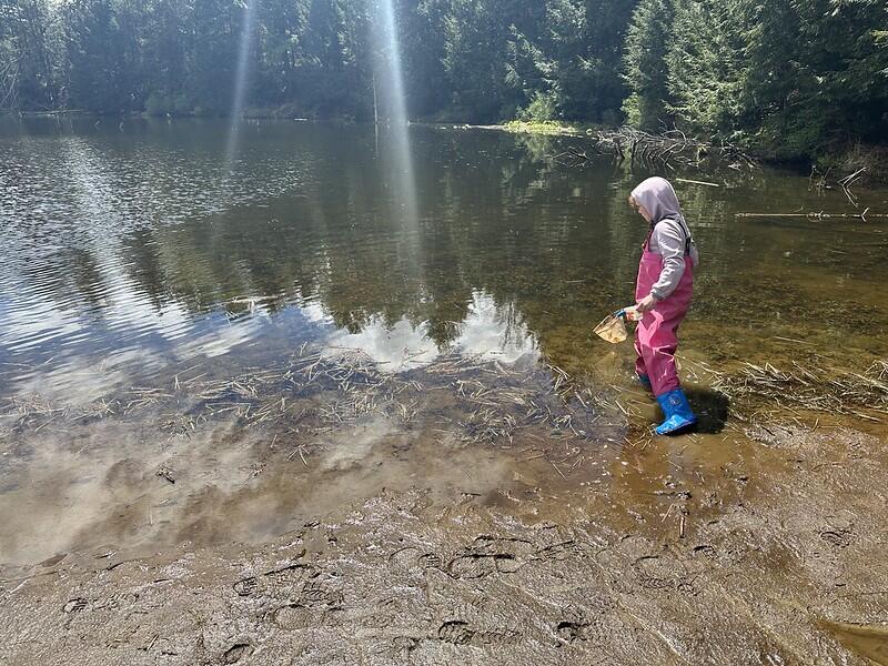 student catching in beaver pond