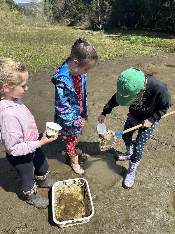 student getting a newt out of a net