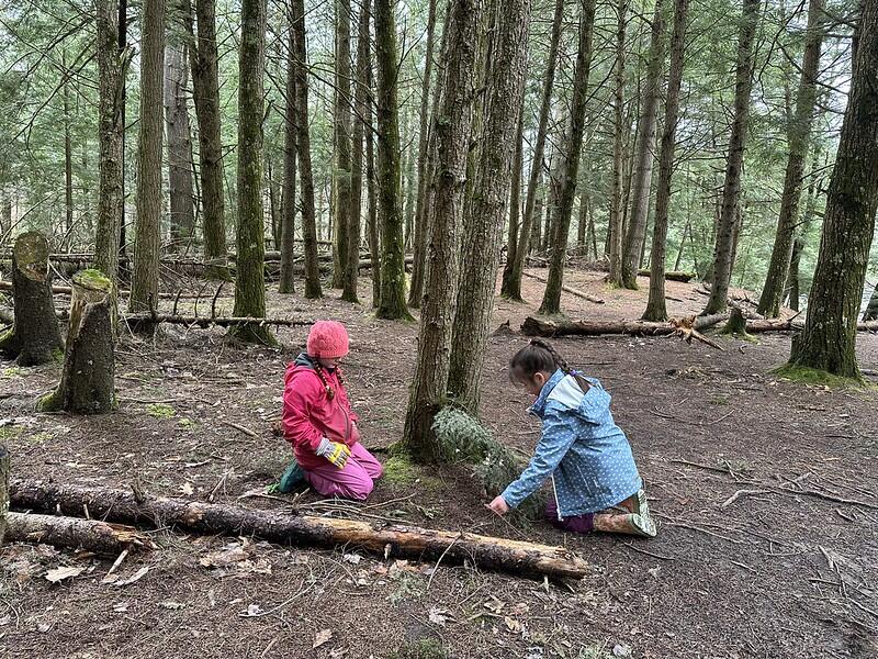 students in the woods