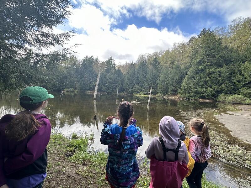 students looking at Beaver