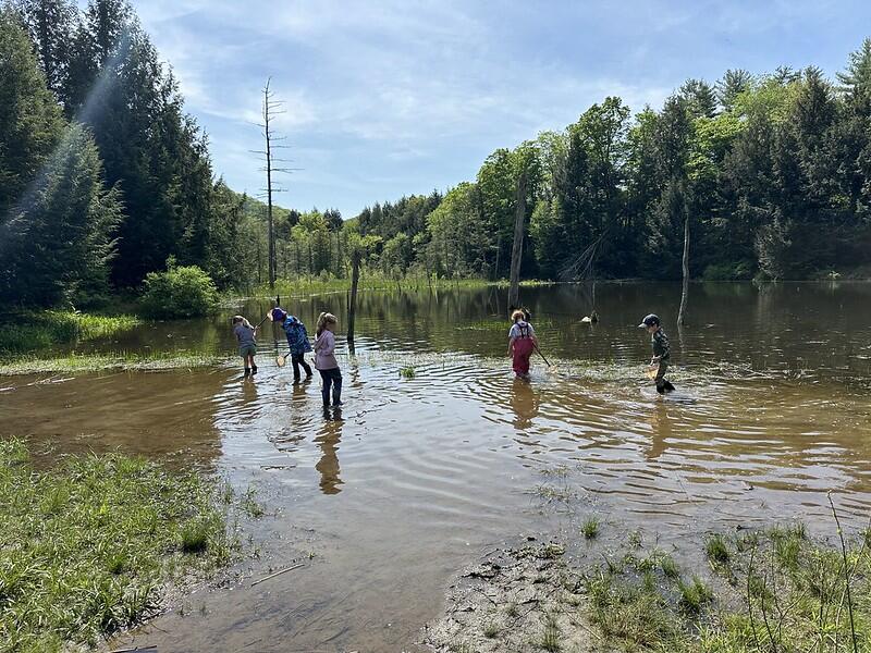 students in pond