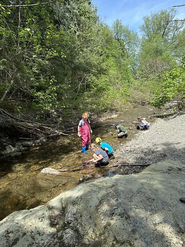 students exploring brook