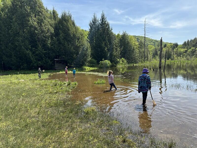 Student in beaver pond