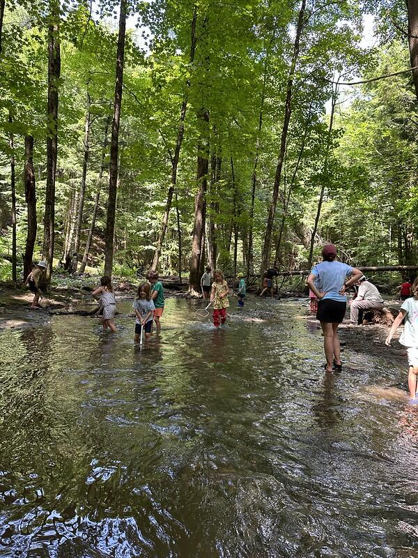 campers exploring brook