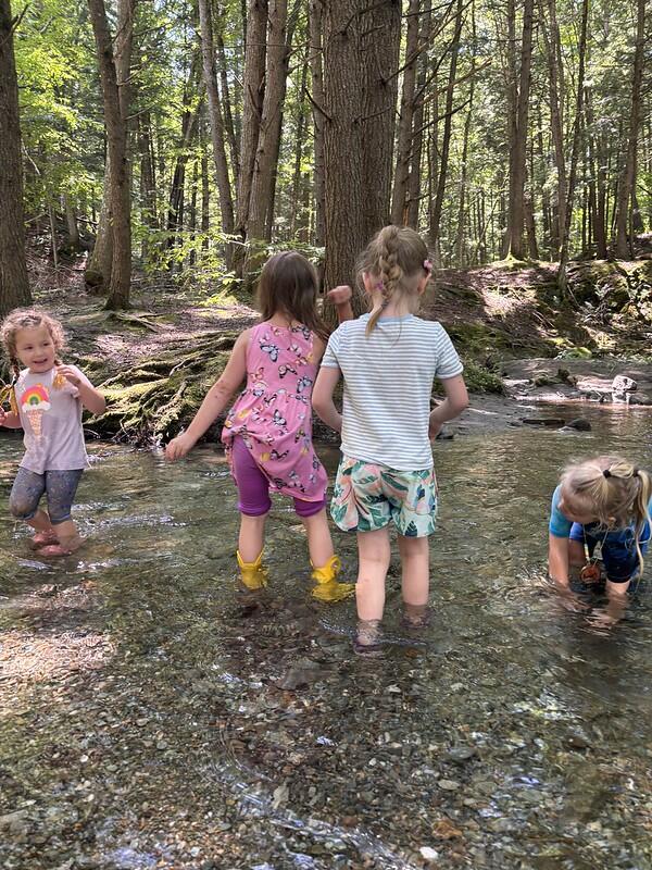 Campers exploring the brook