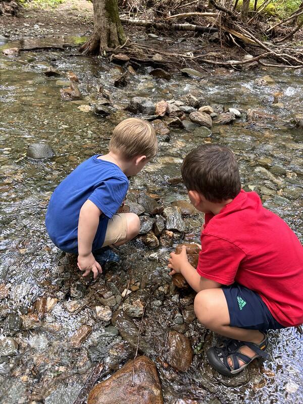 Campers exploring the brook