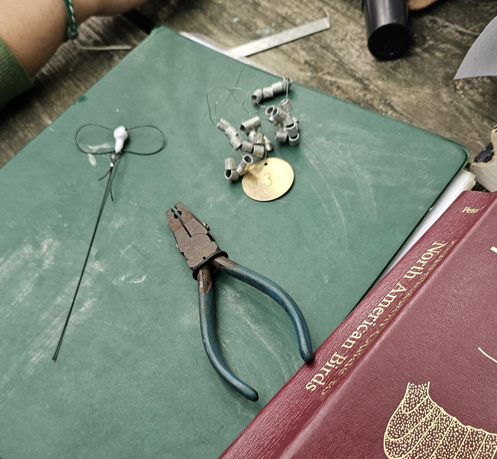 A photo of a nanotag (a small white transmitter with two wire loops and a thin antenna), a pair of banding pliers, and a string of small aluminum bird bands resting on a table next to a bird banding book.