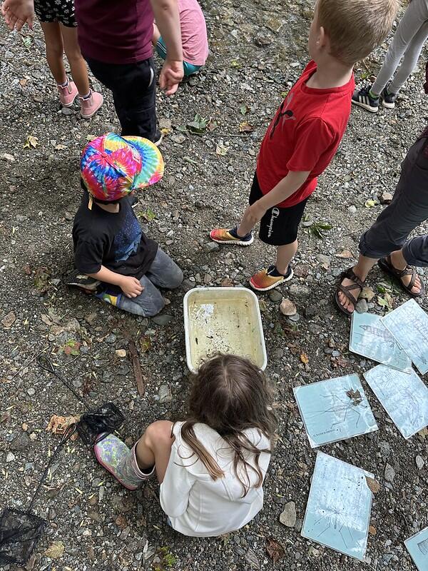 students exploring brook