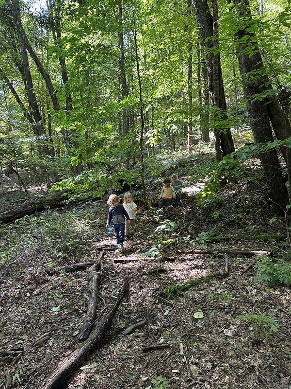 students in the forest