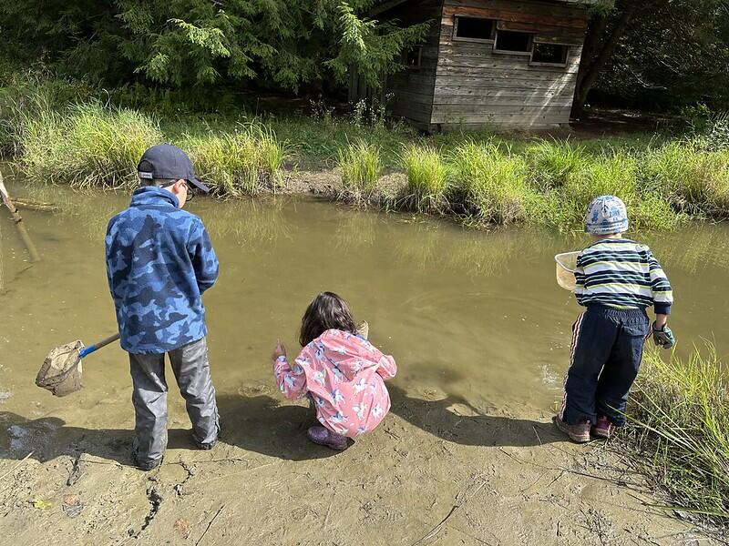 Students at beaver Pond