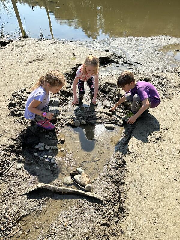 students building a dam