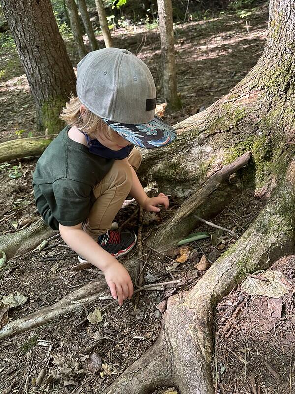 student building fairy house