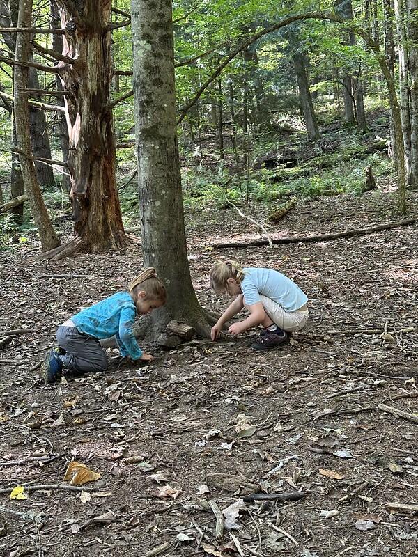 students building fairy houses