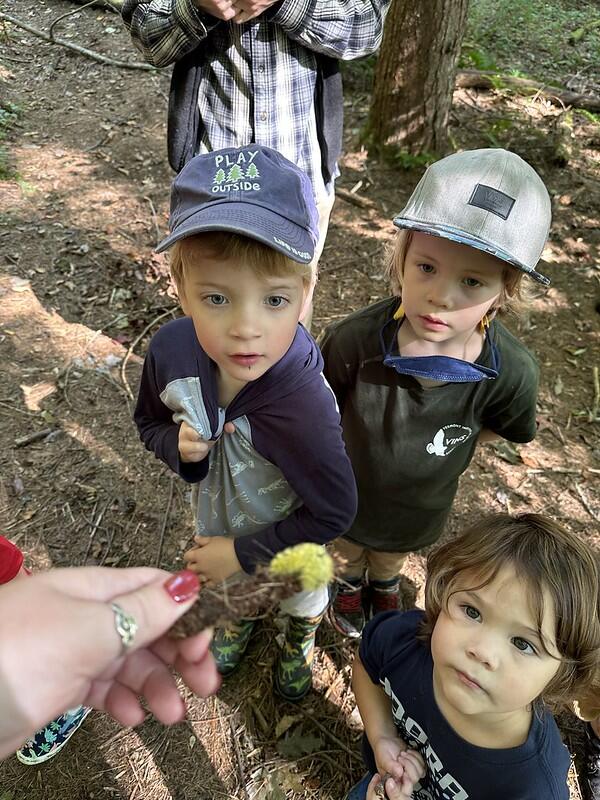 students look at caterpillar 