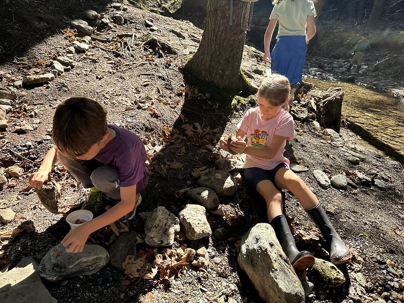 students with rocks