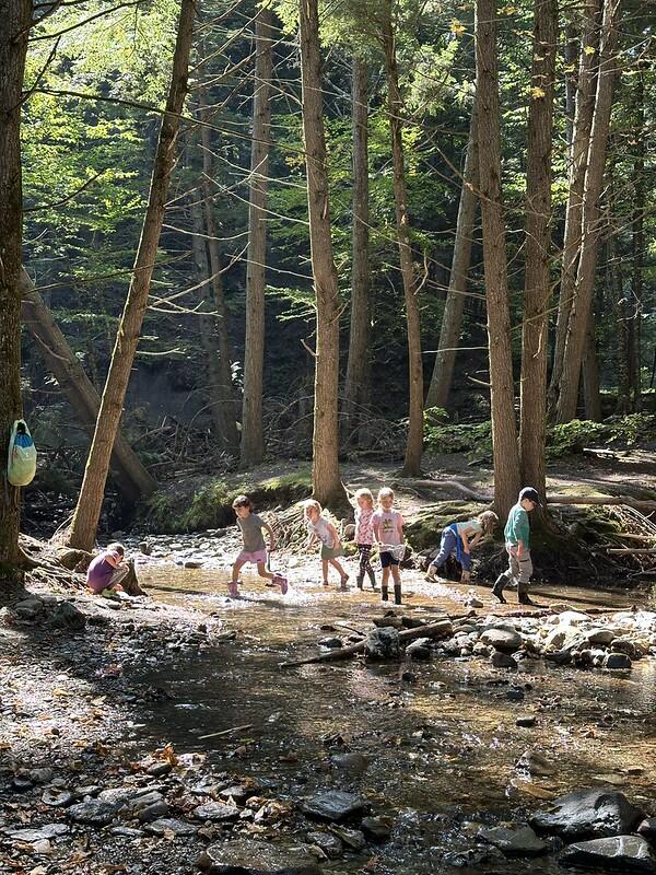 Student exploring brook