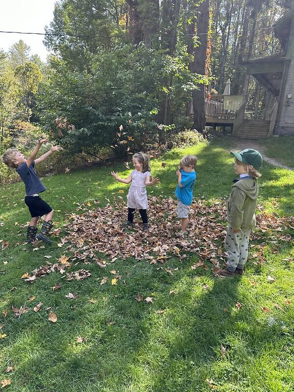 Students playing in leaves