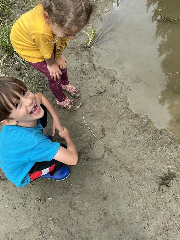 student with eastern newt