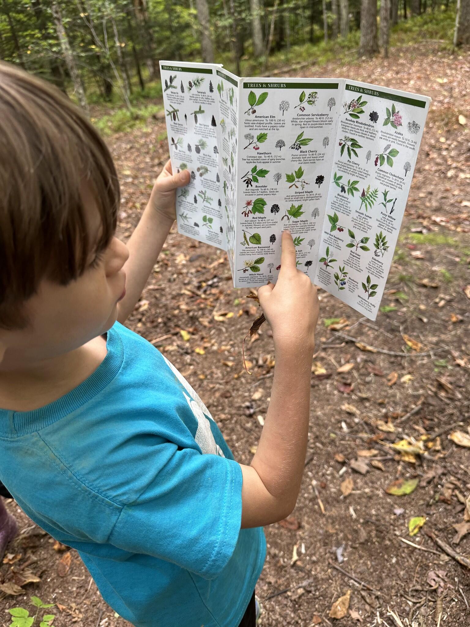 student iding a leaf