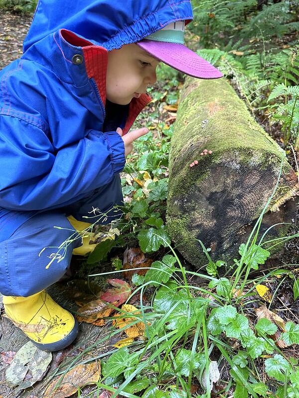 student pointing at mushrooms