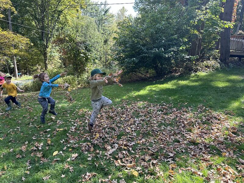 playing in the leaves