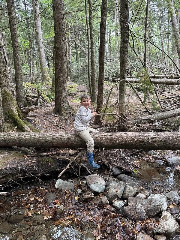 student sitting on fall down tree