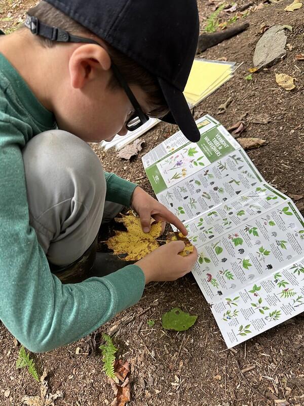 student with tree id book