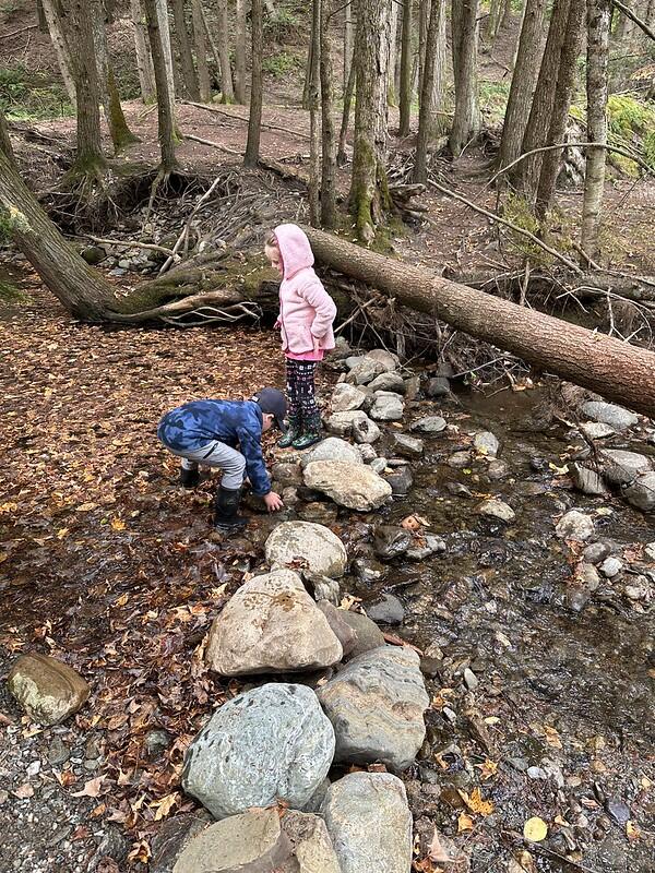 students moving rocks